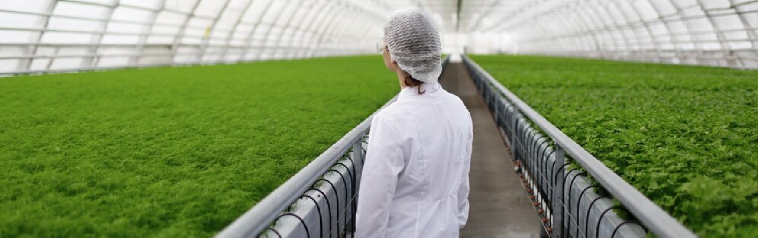 AG旗舰厅 (中国大陆) Apple Store